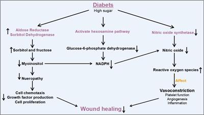 Exosomal ncRNAs: The pivotal players in diabetic wound healing